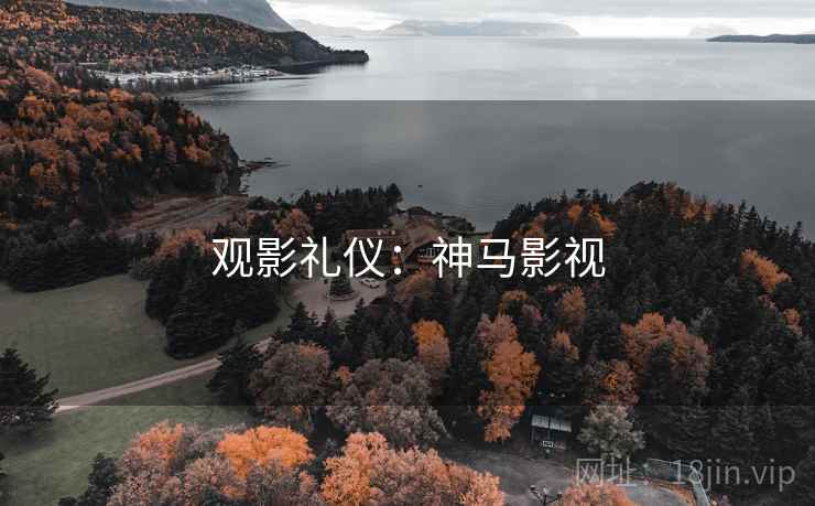 观影礼仪：神马影视