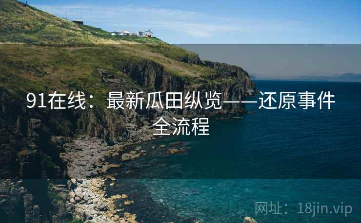 91在线：最新瓜田纵览——还原事件全流程  第2张