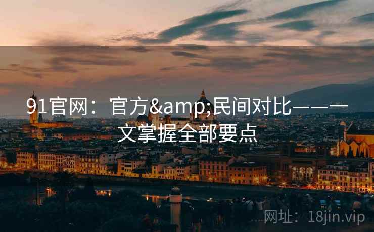 91官网：官方&民间对比——一文掌握全部要点