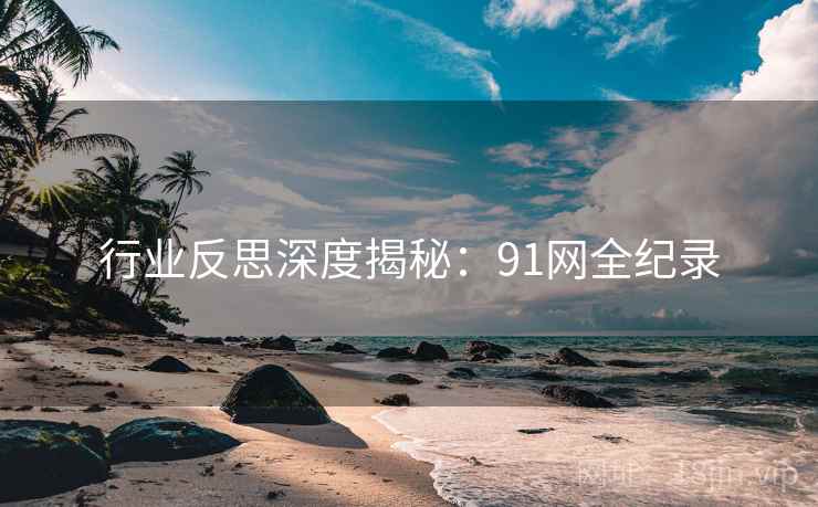 行业反思深度揭秘：91网全纪录
