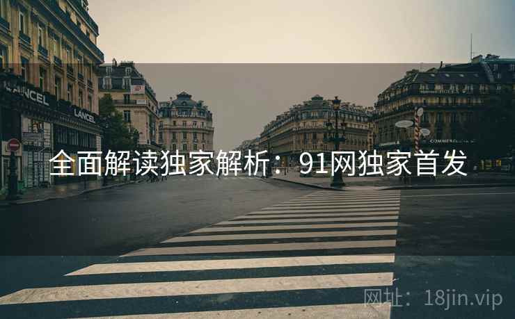 全面解读独家解析：91网独家首发