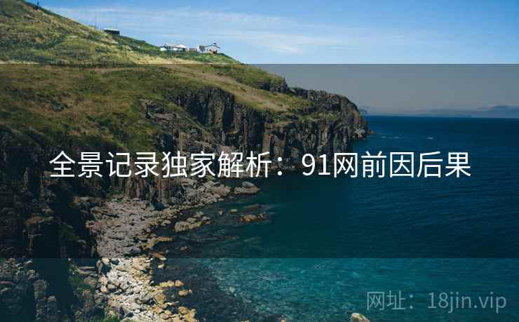 全景记录独家解析：91网前因后果