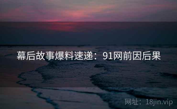 幕后故事爆料速递：91网前因后果  第1张