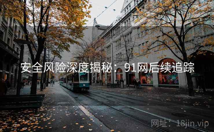 安全风险深度揭秘：91网后续追踪