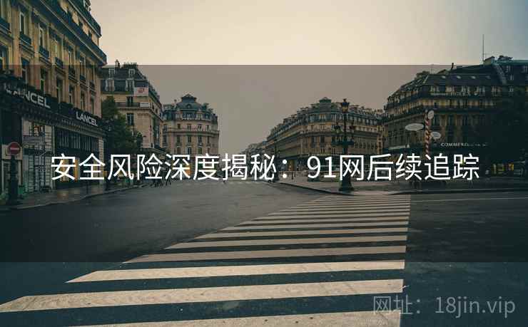 安全风险深度揭秘：91网后续追踪