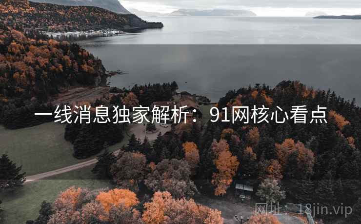 一线消息独家解析：91网核心看点  第2张