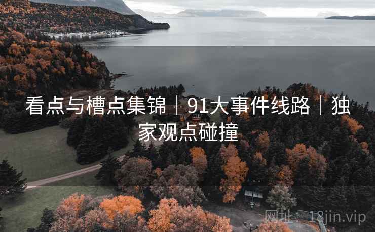 看点与槽点集锦｜91大事件线路｜独家观点碰撞